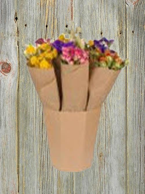 MARKET SINGLE MULTI DRIED BOUQUETS